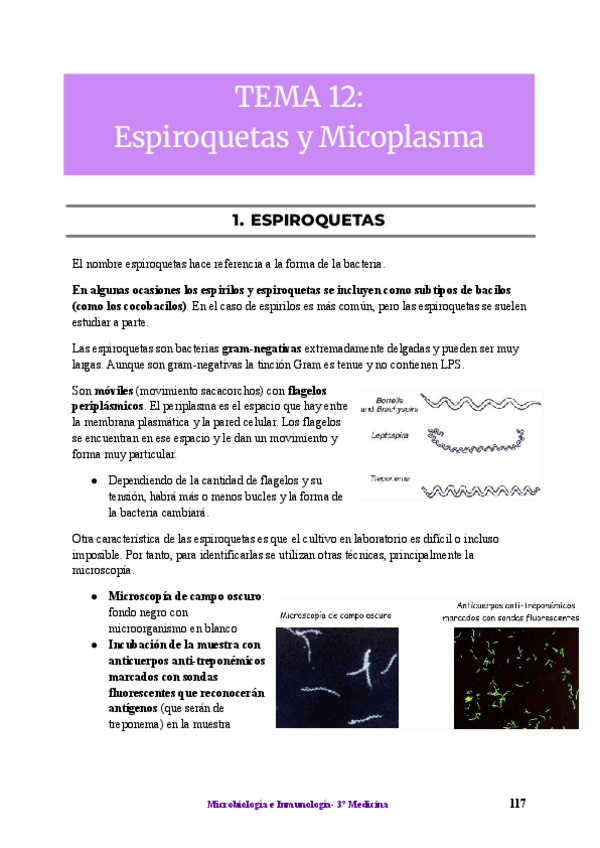 Miniatura del documento MICRO-TEMAS-12-16.pdf