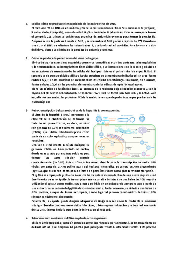 Miniatura del documento Preguntas.pdf