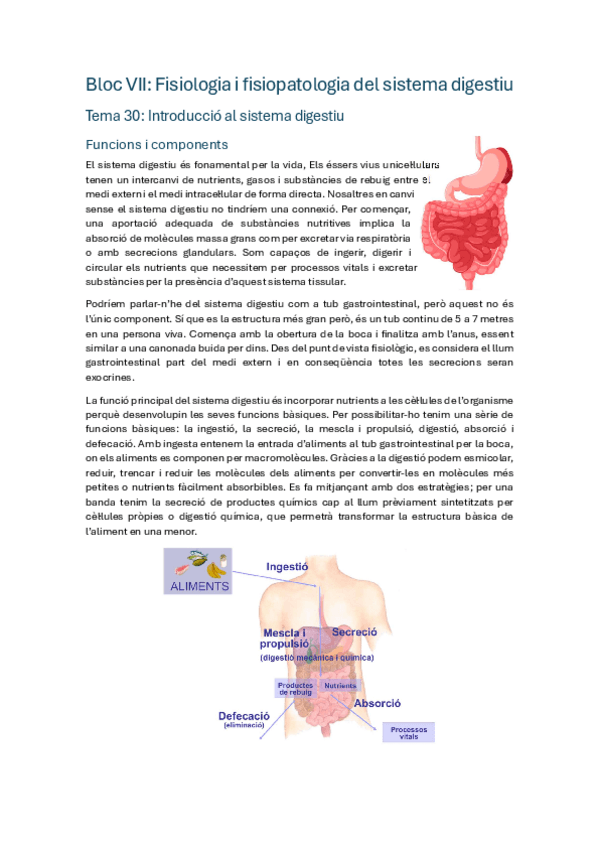Miniatura del documento APUNTS-BLOC-DIGESTIU-CLASSE.pdf