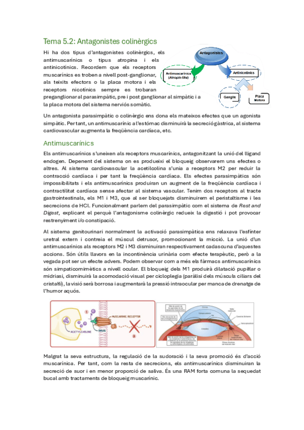 Miniatura del documento TEMA-5.2.pdf