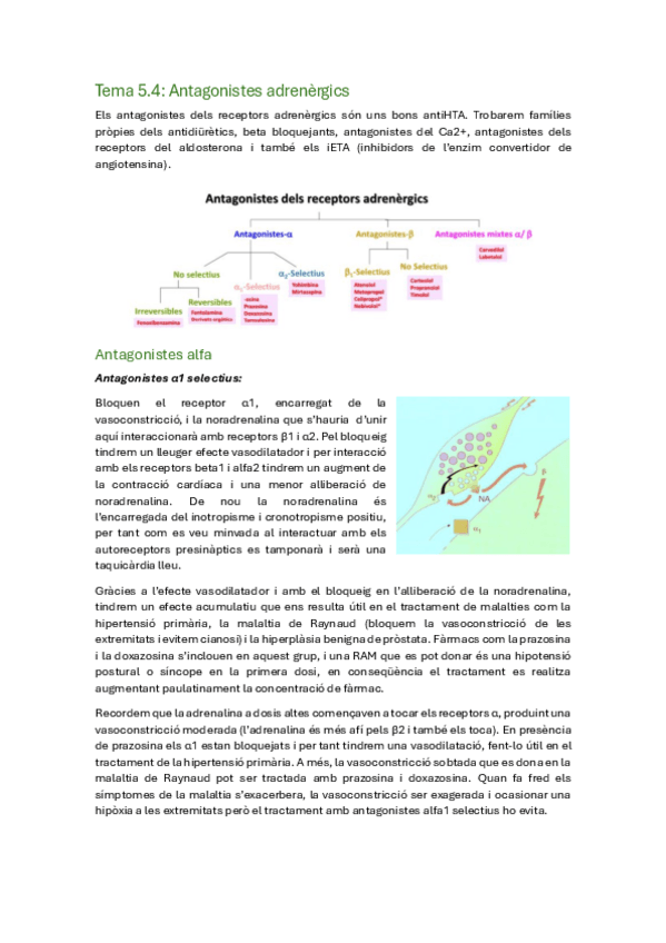 Miniatura del documento TEMA-5.4.pdf