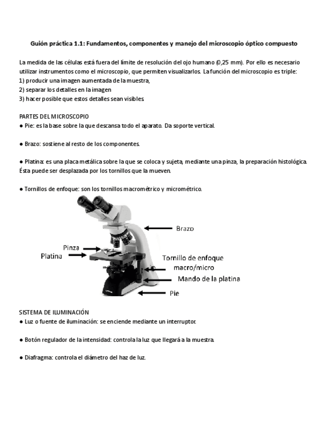 Miniatura del documento Practica-1-BIOLOGIA.pdf