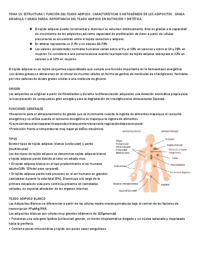 Miniatura del documento TEMA-15-ESTRUCTURA-Y-FUNCION-DEL-TEJIDO-ADIPOSO.pdf