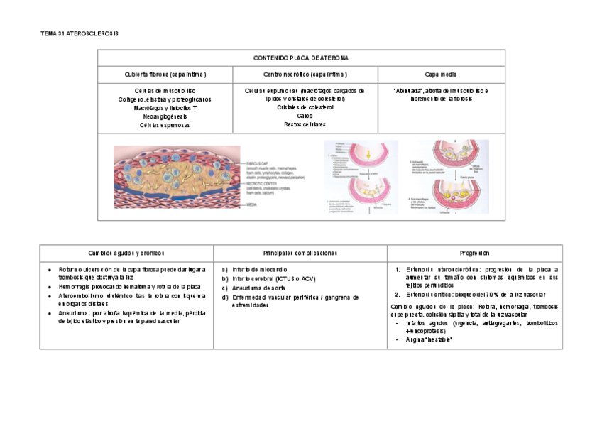 Miniatura del documento AP-P2-TABLAS-RESUMEN.pdf