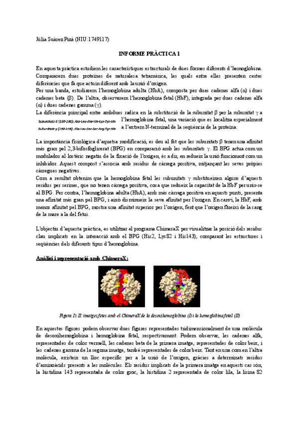 Miniatura del documento informe-practica-1-BQ2-2.pdf