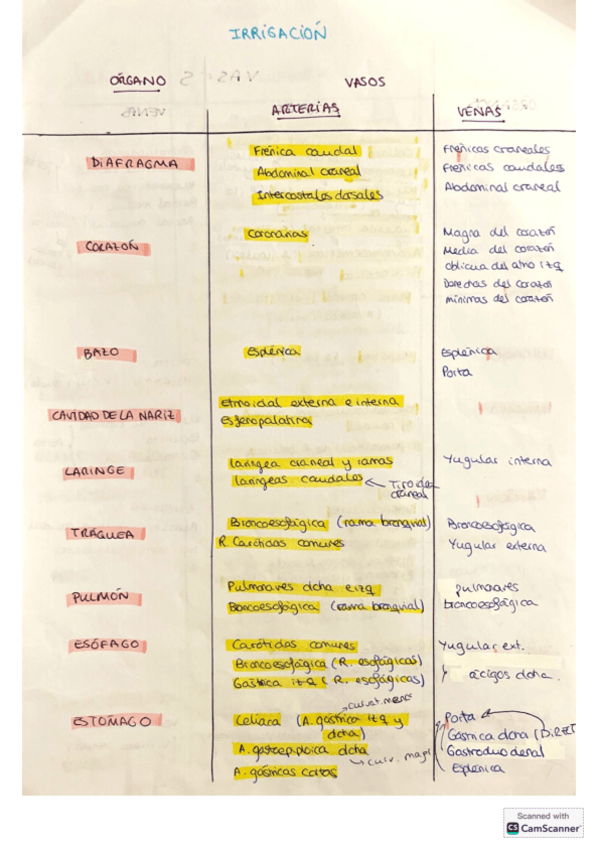 Miniatura del documento Irrigacion-e-inervacion-de-cada-organo.pdf