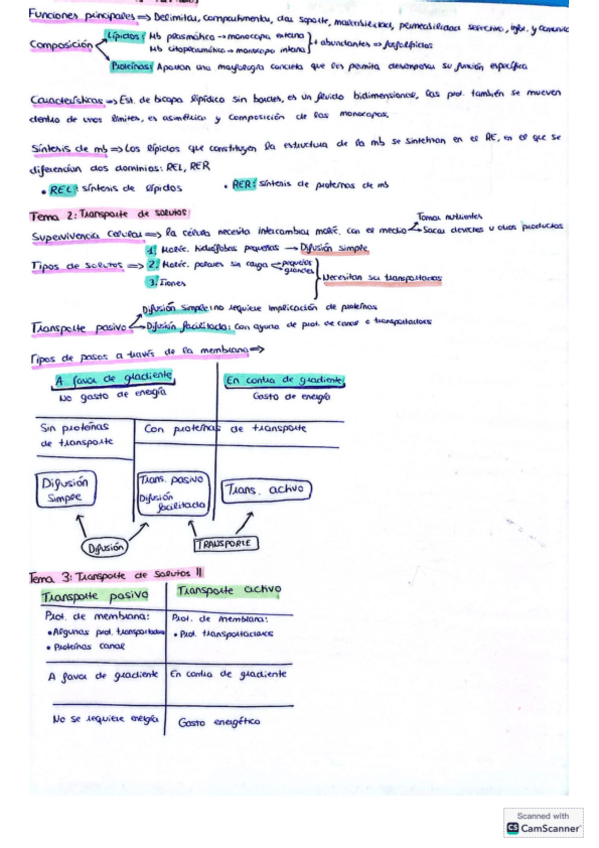 Miniatura del documento Primer-parcial-biocel.pdf