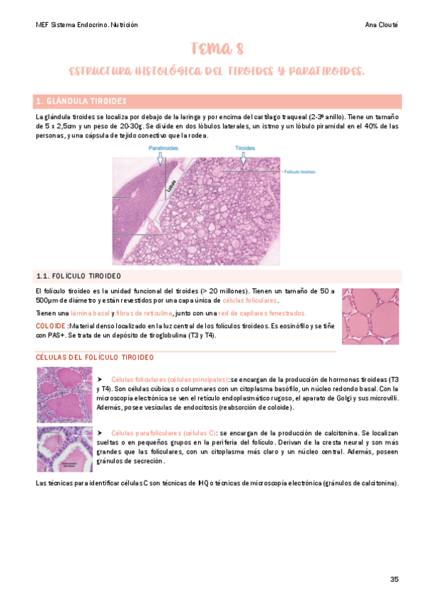 Miniatura del documento Tema-8.pdf