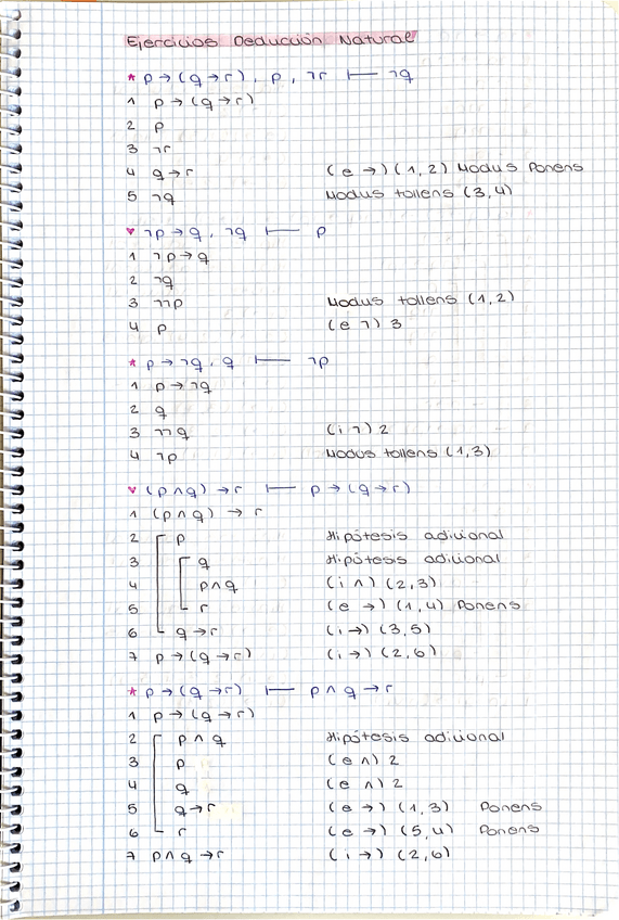 Miniatura del documento EJERCICIOS-DEDUCCION-NATURAL.pdf