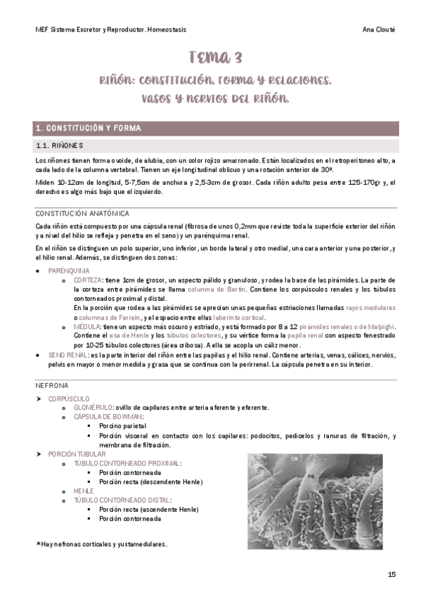 Miniatura del documento Tema-3.pdf