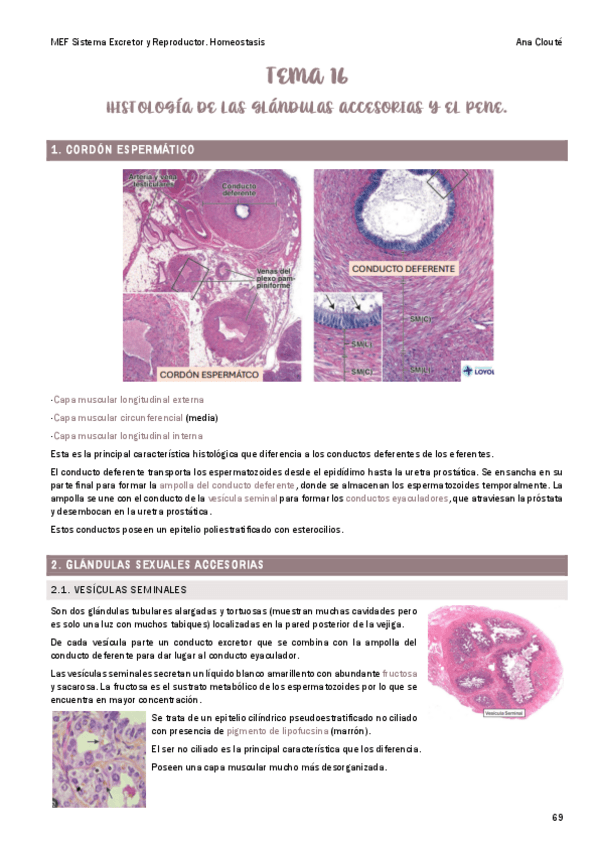 Miniatura del documento Tema-16.pdf