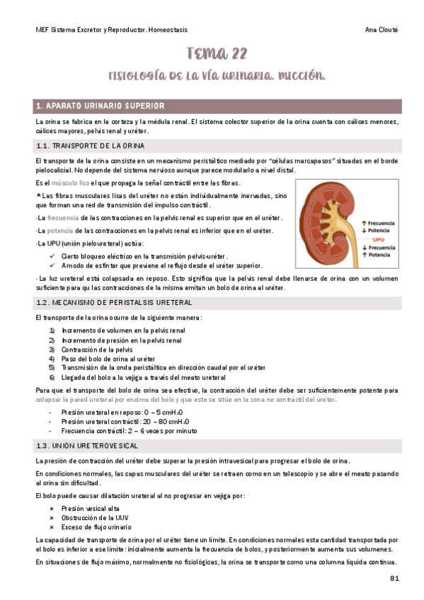 Miniatura del documento Tema-22.pdf