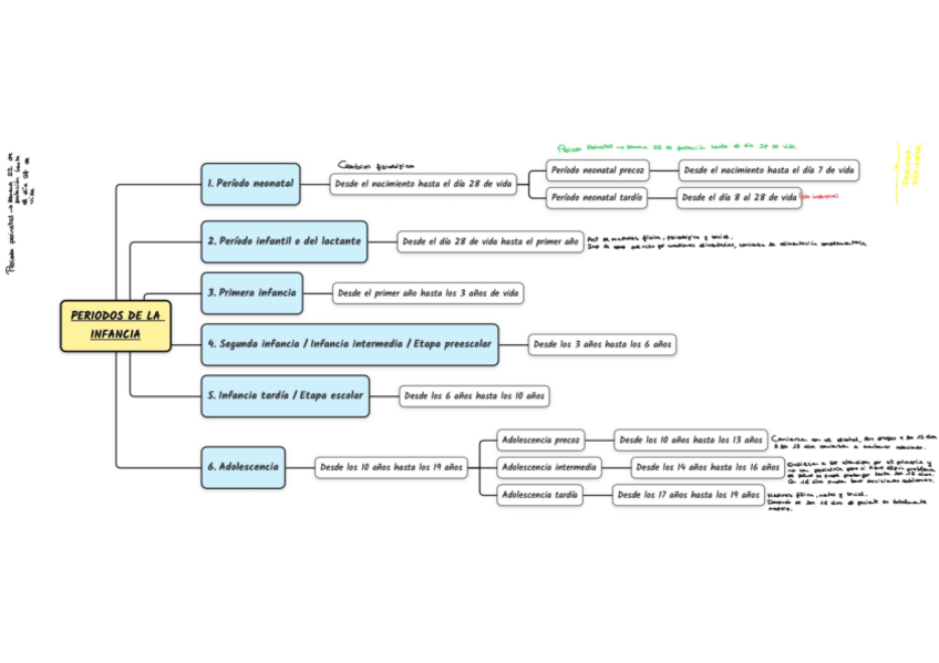 Miniatura del documento Esquema-periodos-de-la-infancia.pdf