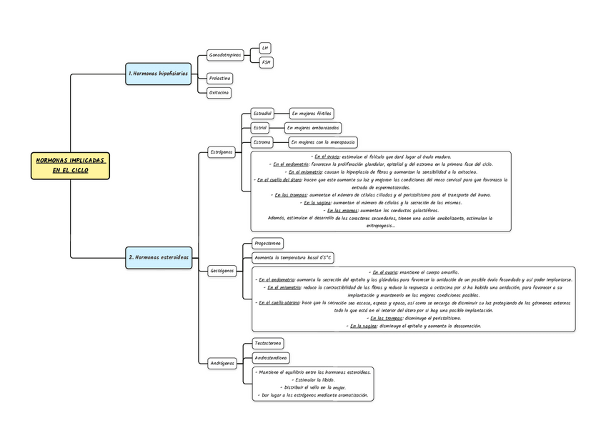 Miniatura del documento ESQUEMA-HORMONAS-DEL-CICLO.pdf