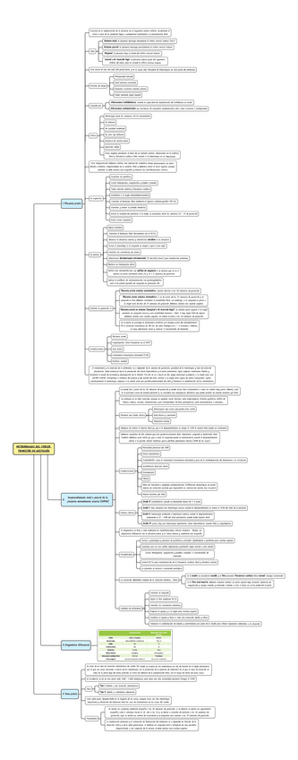 Miniatura del documento ESQUEMA-METRORRAGIAS-EN-EL-TERCER-TRIMESTRE-DE-GESTACION.pdf