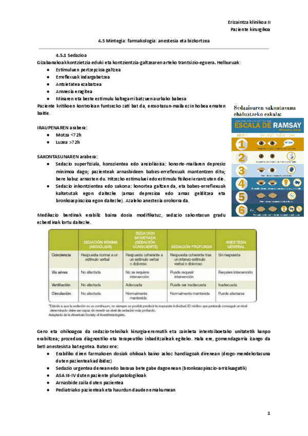Miniatura del documento 4.5-Mintegia-farmakologia-anestesia-eta-bizkortzea.pdf