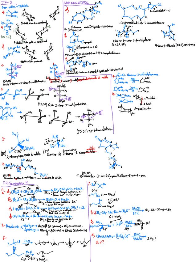Miniatura del documento Seminarios-Q.Organica-I-Juancho.pdf