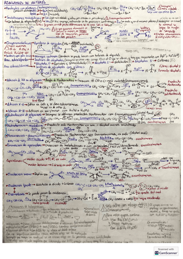 Miniatura del documento Resumen-para-examen-Q.Organica-I-2425-J.pdf