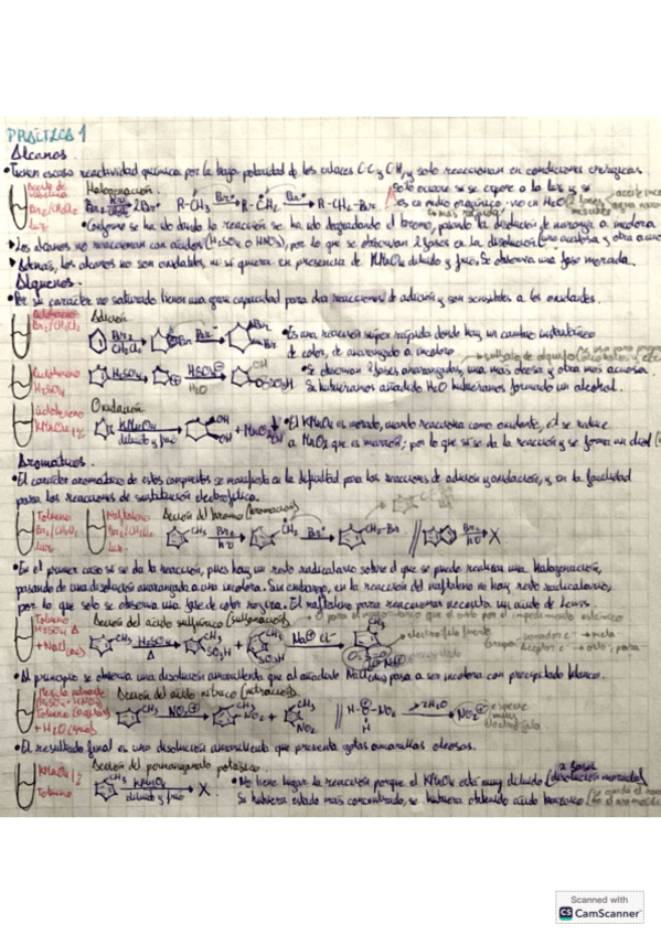 Miniatura del documento Apuntes-practicas-Q.Organica-I-2425.pdf