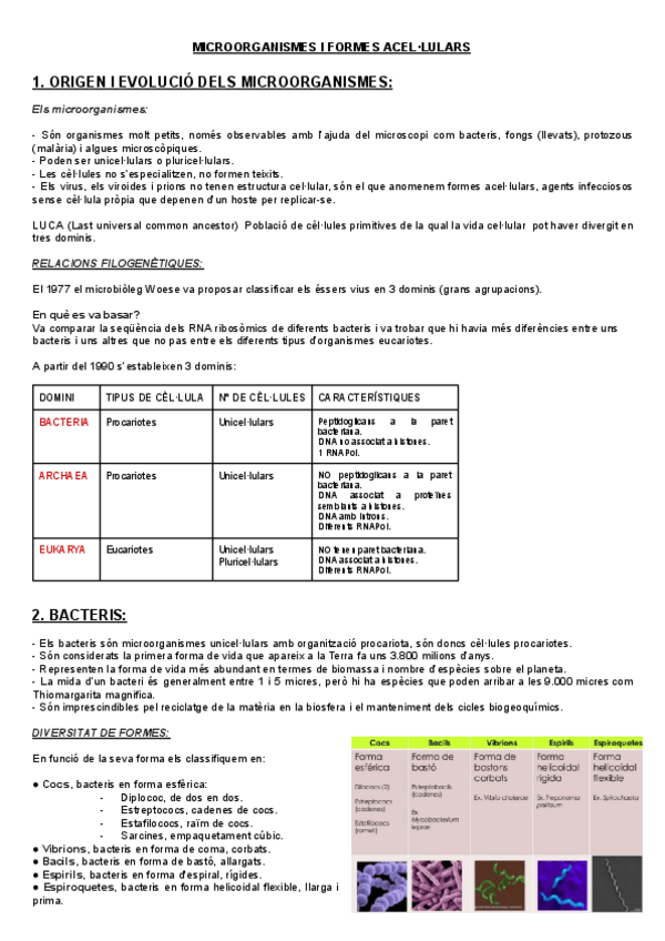 Miniatura del documento MICROORGANISMES-I-FORMES-ACELLULARS-BIO.pdf