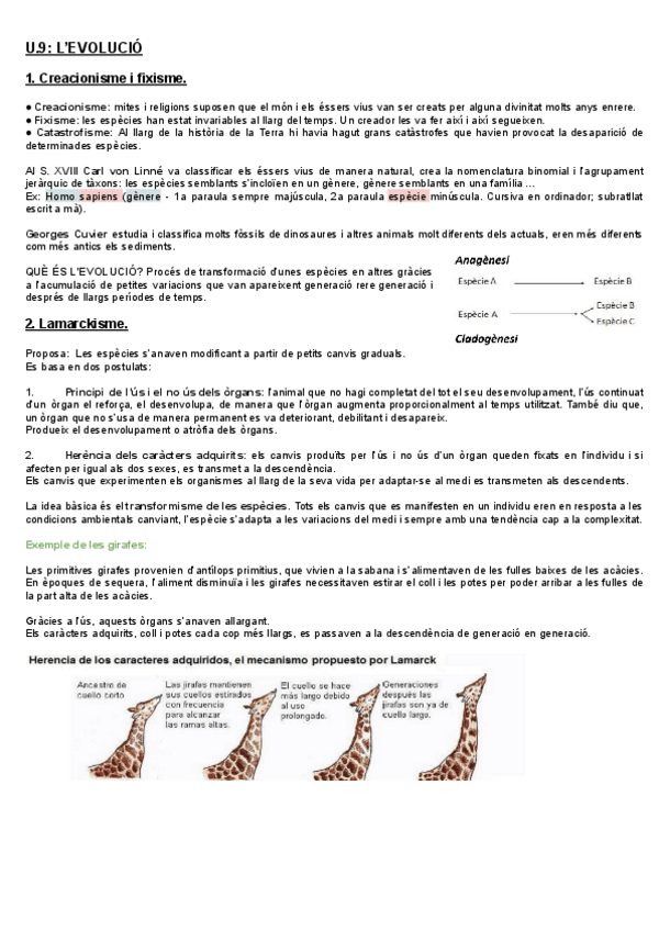 Miniatura del documento LEVOLUCIO-95-en-examen.pdf