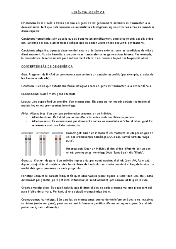 Miniatura del documento HERENCIA-I-GENETICA-BIOLOGIA.pdf