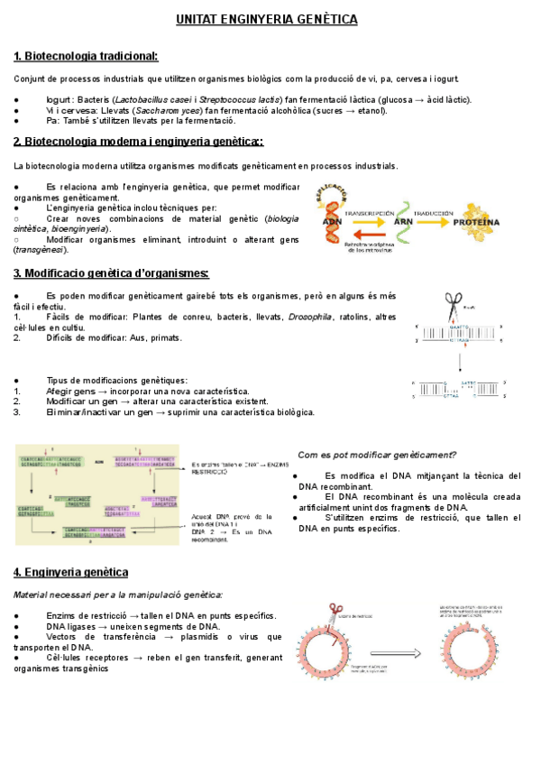 Miniatura del documento UNITAT-ENGINYERIA-GENETICA.pdf