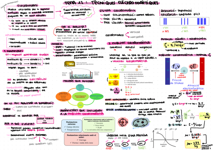 Miniatura del documento TEMA-12.pdf
