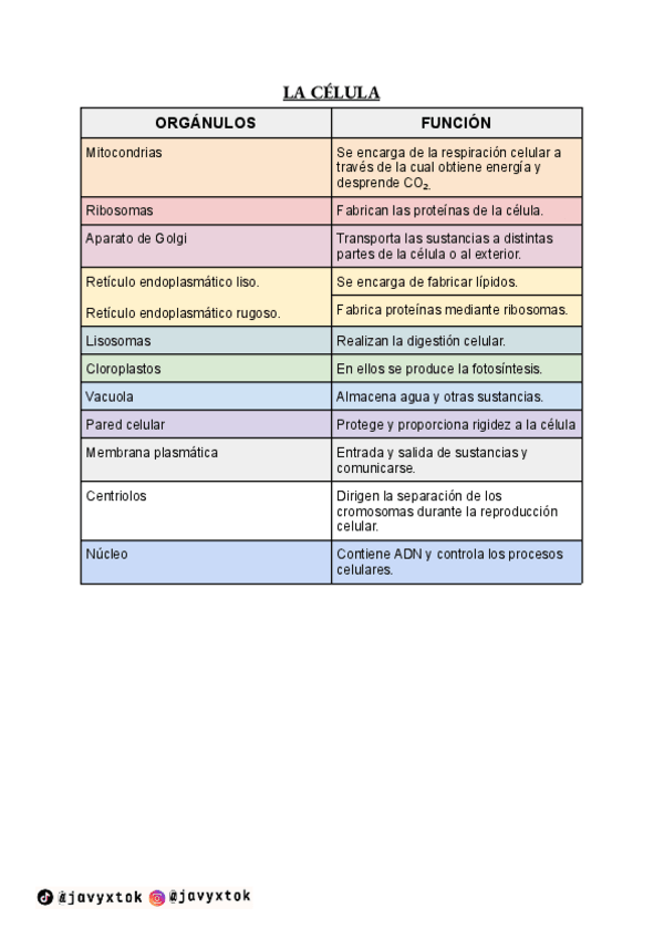 Miniatura del documento LA-CELULA-3o-ESO.pdf