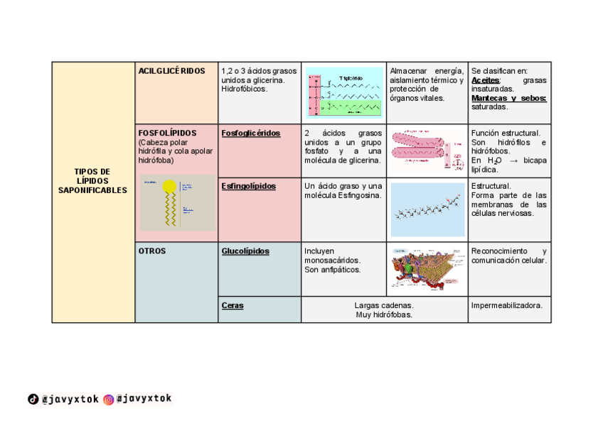 Miniatura del documento LIPIDOS-SAPONIFICABLES-1o-bach.pdf