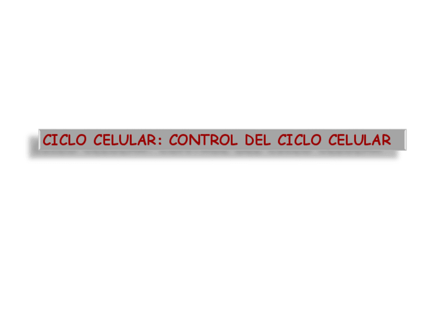 Miniatura del documento ciclo-celular-VVshort-24-25.pdf