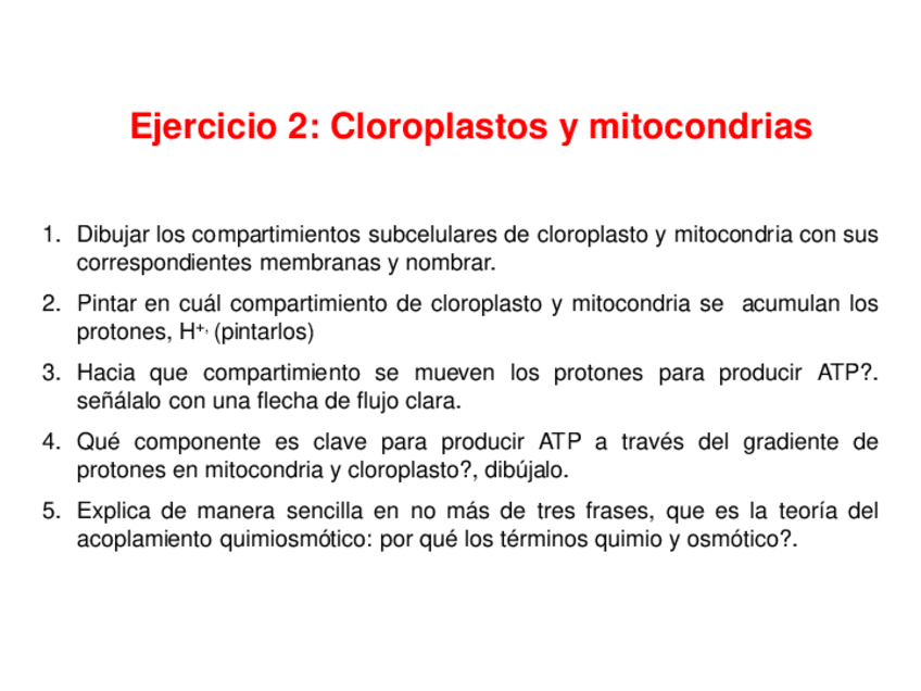 Miniatura del documento Explicacion-cloroplasto-mitocondria-24-25.pdf