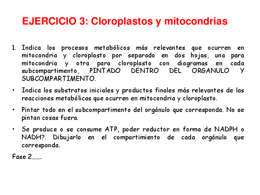Miniatura del documento Ejercicio-3-mitocondria-cloroplasto24-25.pdf