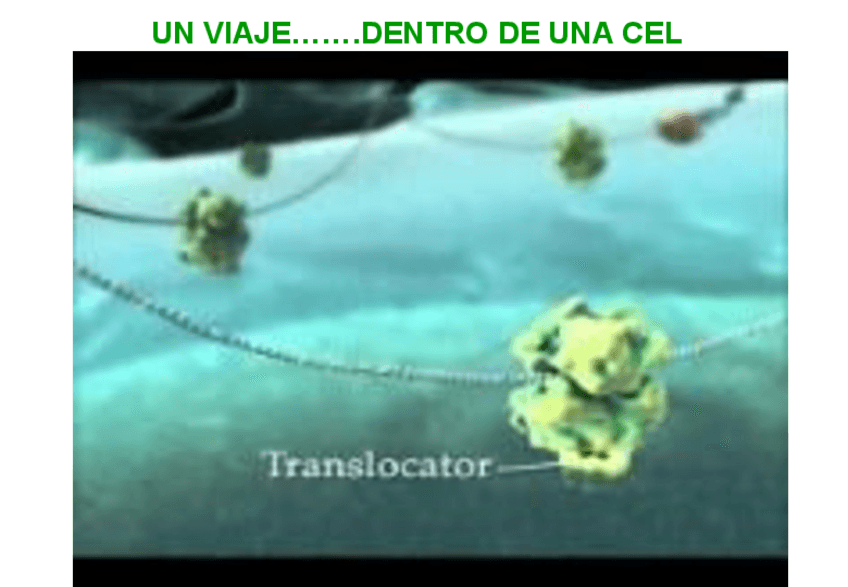 Miniatura del documento explicacion-membranas-24-25.pdf