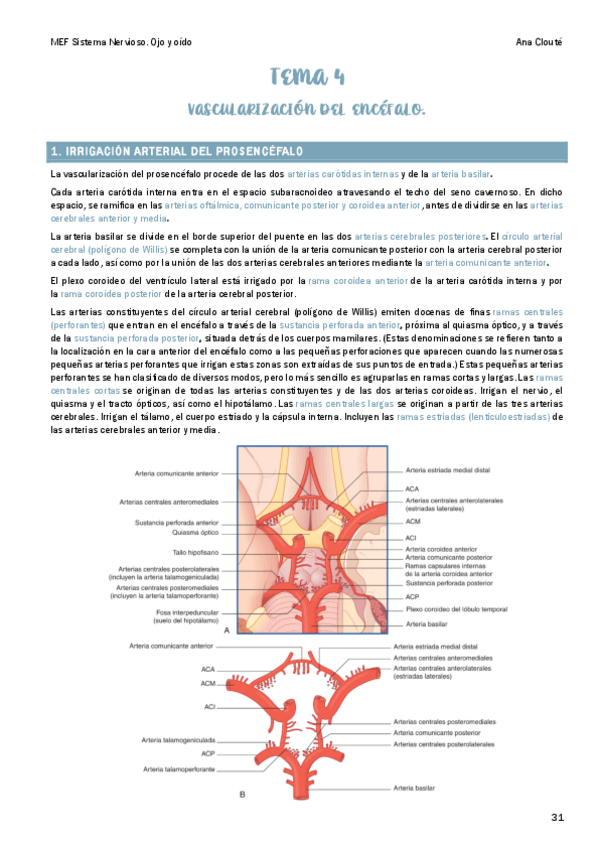 Miniatura del documento Tema-4.pdf