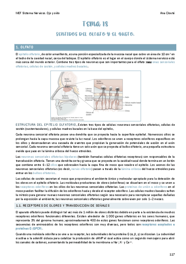 Miniatura del documento Tema-19.pdf