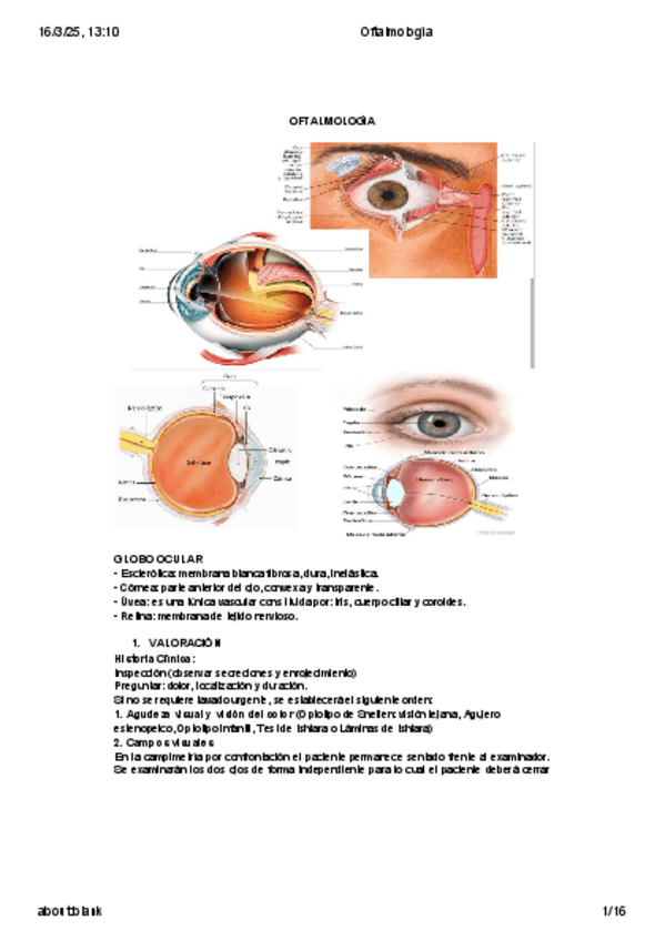 Miniatura del documento Oftalmologia-T12.pdf
