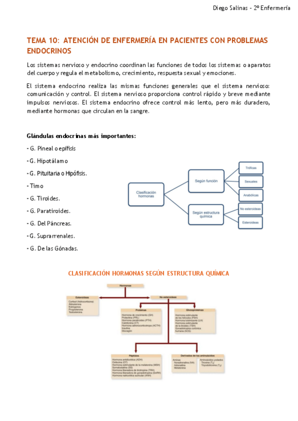 Miniatura del documento Resument10-Endocriono-2P.pdf