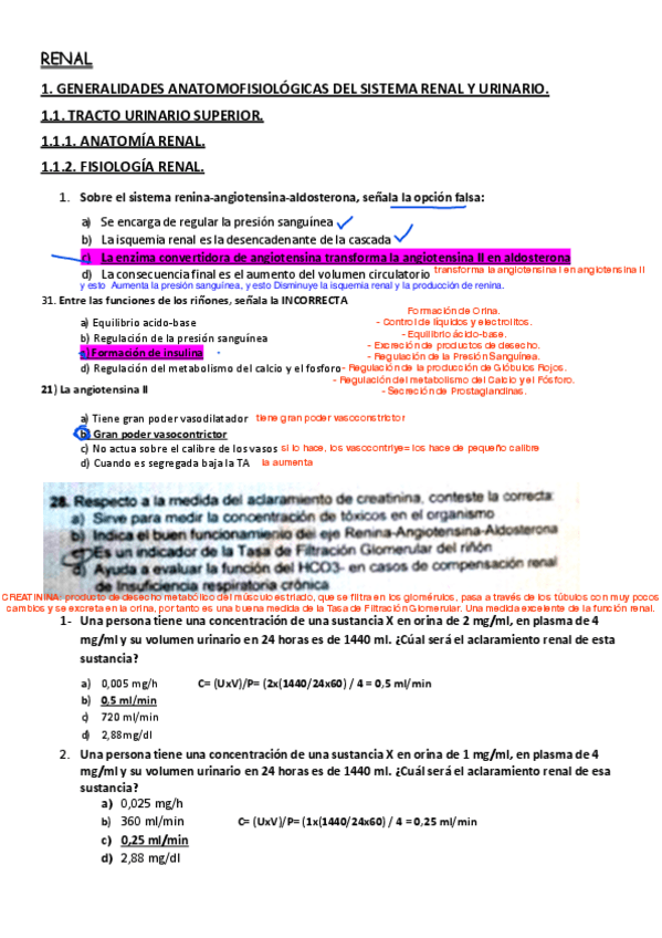 Miniatura del documento RENALEXAM-POR-TEMAS-JUSTIFICADO.pdf