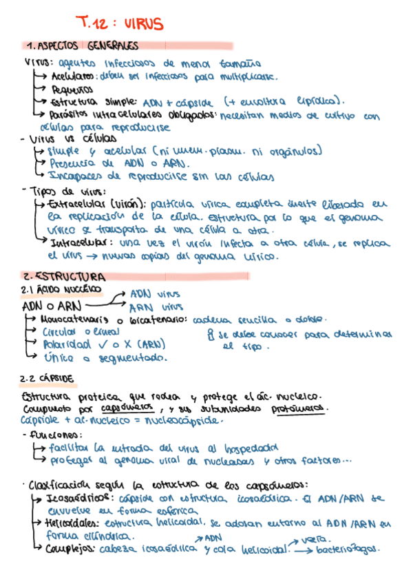 Miniatura del documento T12.-Virus.pdf