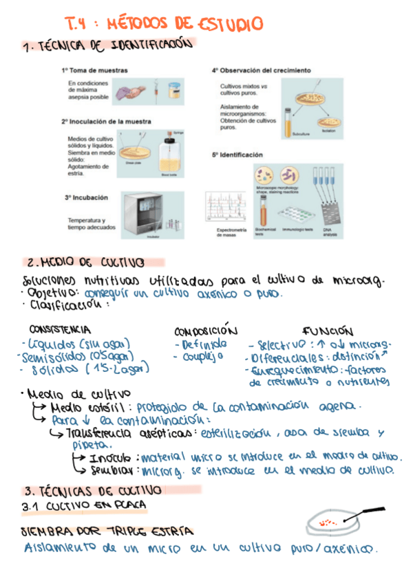 Miniatura del documento T4.-Metodos-de-estudio-de-los-microorganismos..pdf