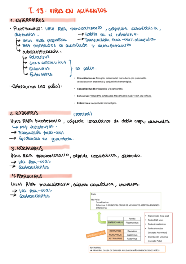 Miniatura del documento T13.-Virus-en-alimentos.pdf