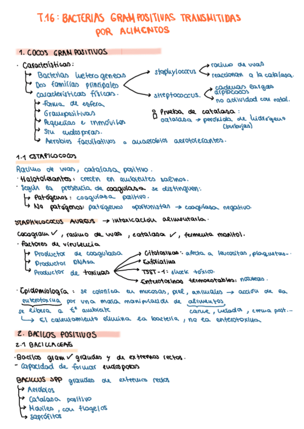Miniatura del documento T16.-Bacterias-Grampositivas-transmitidas-por-alimentos.pdf