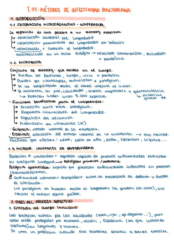 Miniatura del documento T11.-Mecanismos-de-infectividad-bacteriana.pdf