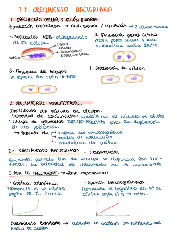 Miniatura del documento T7.-Crecimiento-bacteriano.pdf