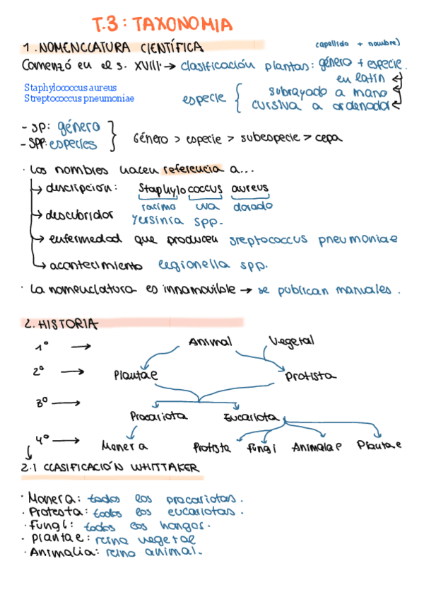 Miniatura del documento T3.-Taxonomia.pdf