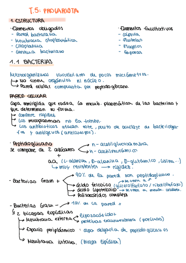 Miniatura del documento T5.-Procariota.pdf