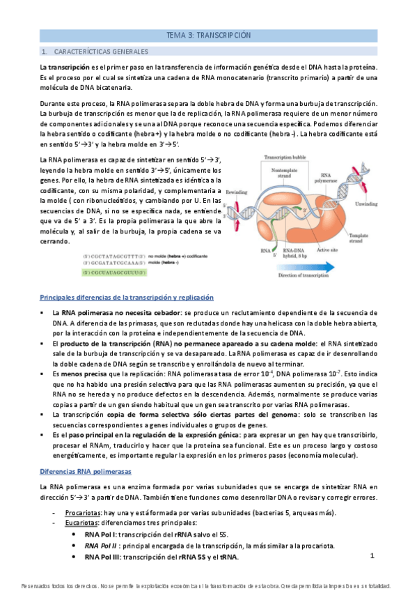 Miniatura del documento TEMA-3-Transcripcion.pdf