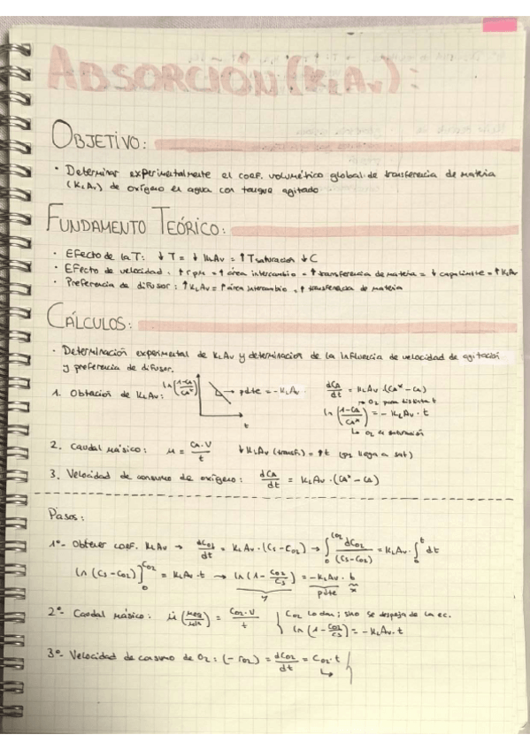 Miniatura del documento Adsorcion-RESUMEN.pdf