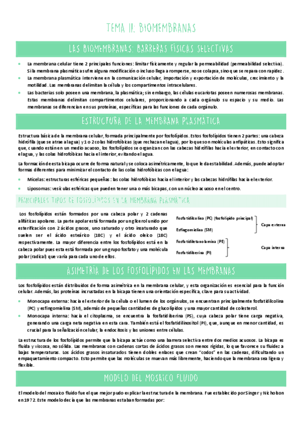 Miniatura del documento TEMA-11.pdf